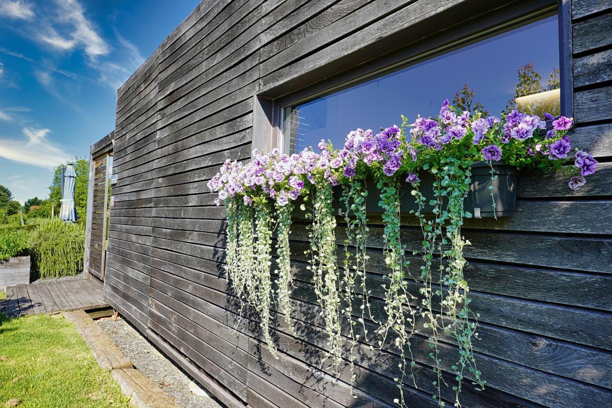 Hisice Carna - Houses Carna Puconci Exterior photo